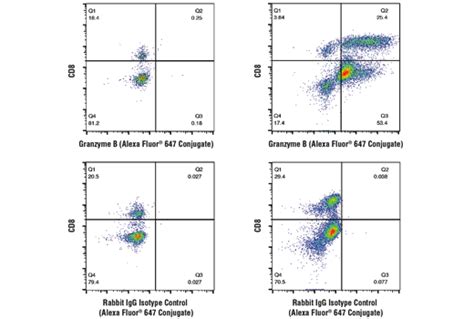 Mouse Progenitor Exhausted CD8+ T Cell Markers Flow Cytometry Panel | Cell Signaling Technology