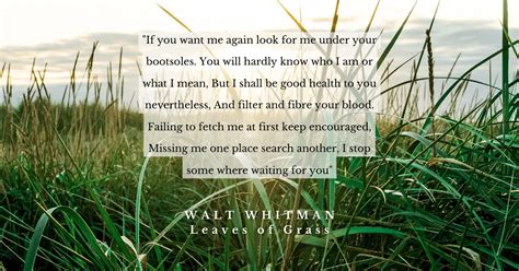 24 Top Walt Whitman Leaves Of Grass Quotes (the 1855 1st Edition)