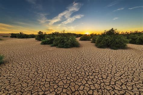 Land degradation could threaten 700 million people by 2050 - Climate Action