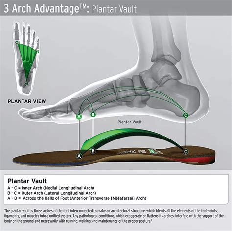 Foot Levelers Custom Made Orthotics in Atlanta - Le Reve Spinal Care