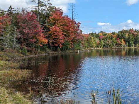 Old Forge Fall Foliage Road Trip 2023 | NY Travel Journal