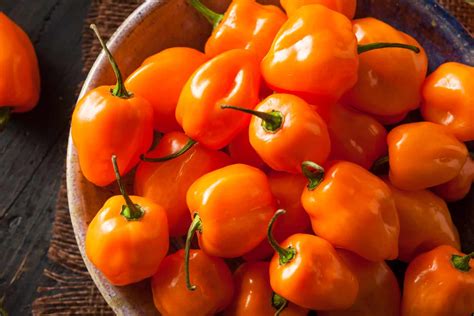 Habanero Orange: Everything You Need To Know