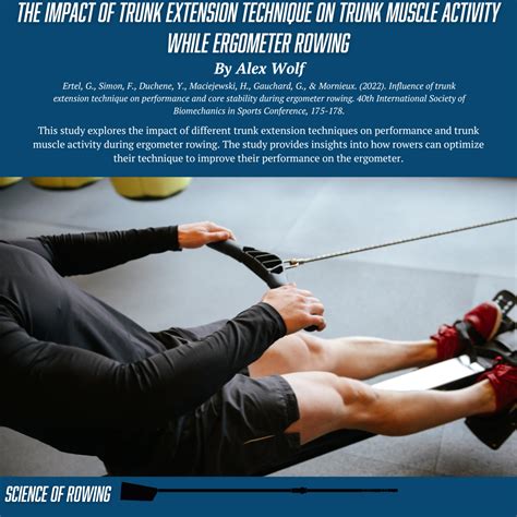 The impact of trunk extension technique on trunk muscle activity while ergometer rowing ...