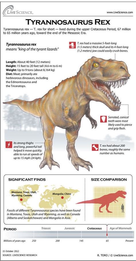 Allosaurus Facts For Kids – Kids Matttroy