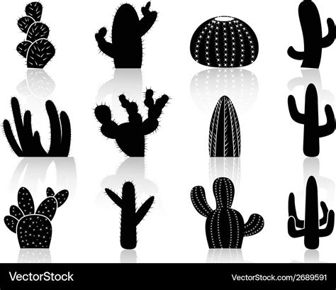 Cactus silhouettes Royalty Free Vector Image - VectorStock