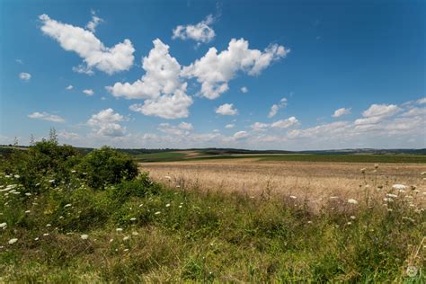 Field Landscape Background - High-quality Free Backgrounds