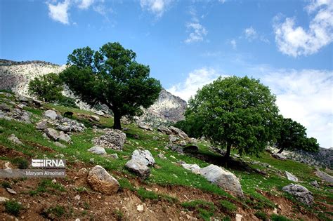 IRNA English - Beauty of nature in southwest Iran