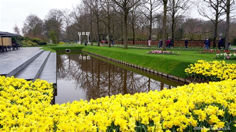 Visiting Keukenhof Gardens, The Netherlands - The World Is A Book