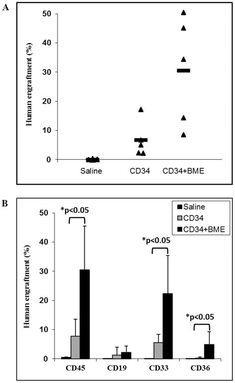 Two groups of NSG mice (n = 5 each) received 50×103 bone marrow derived ...