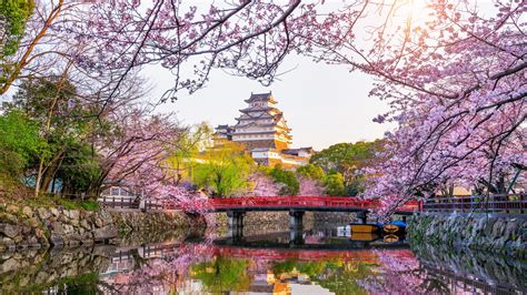 Blossom Castle Himeji Castle Japan Reflection Sakura Spring 4K 5K HD Travel Wallpapers | HD ...