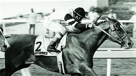 Affirmed: Rare Talent, Rare Competition | America's Best Racing