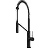 VIGO Livingston Matte Black Single Handle Pull-down Kitchen Faucet with ...