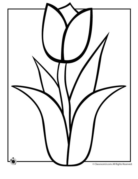 Free Tulip Cliparts Outline, Download Free Tulip Cliparts Outline png ...