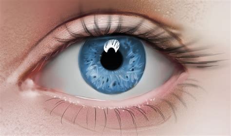 Realistic Eye Painting at PaintingValley.com | Explore collection of ...