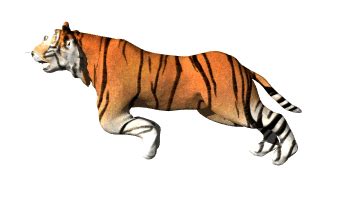 Cool Animated Tiger Gifs at Best Animations