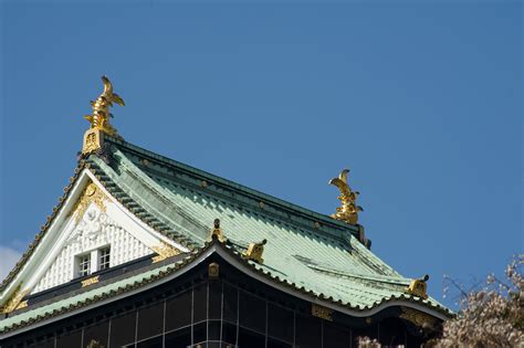 Osaka Jo Details-5464 | Stockarch Free Stock Photos