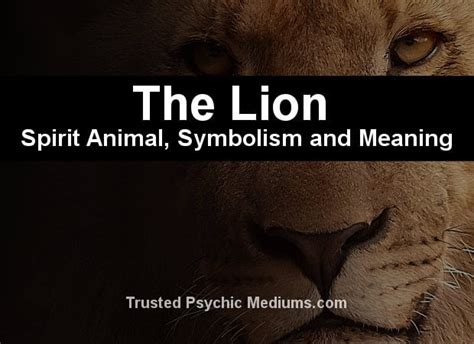 The Lion Spirit Animal - A Complete Guide to Meaning and Symbolism.