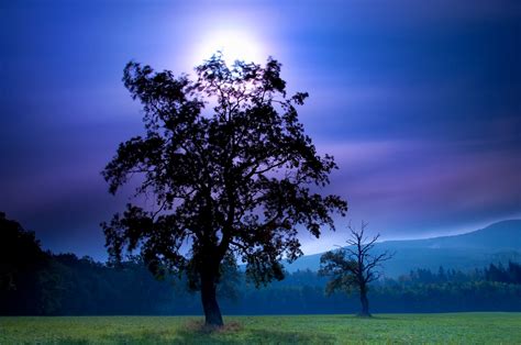 field, Night, Tree, Moon, Sky, Mountains Wallpapers HD / Desktop and Mobile Backgrounds