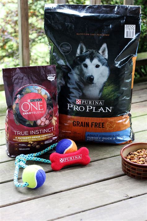 Petsmart Grain Free Dog Food - PetsWall