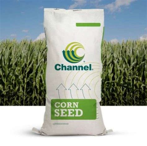 6 Bags of Channel Seed Corn (Sells as 1 Lot) - Donated by Channel Ohio - TopShelf Auctions