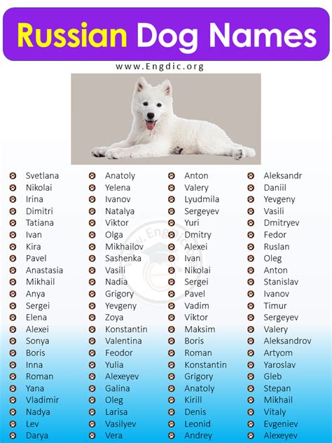 300+ Most Popular Russian Dog Names (Male, Female) - EngDic