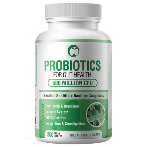 Probiotics for Gut Health & Digestive Support | Daily Probiotic Complex ...