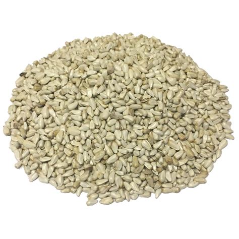 Wagners Safflower Seed Wild Bird Food 50 lb. Bag Feeder Cardinals Squirrels 70805840798 | eBay