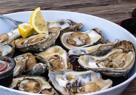 Simple Steamed Oysters Recipe - Oyster Obsession®