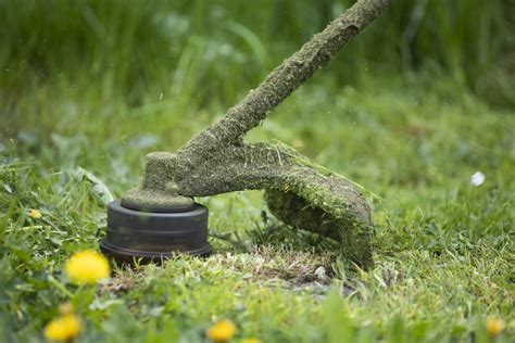 Types of Grass Trimmer: How To select Best One