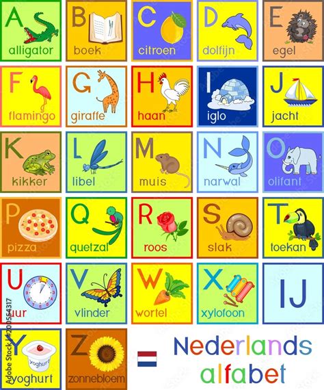 Colorful Dutch (Nederlands) alphabet with pictures and titles for children education Stock ...