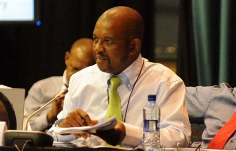 ANC lied about stadium, says Dali Mpofu – The Mail & Guardian