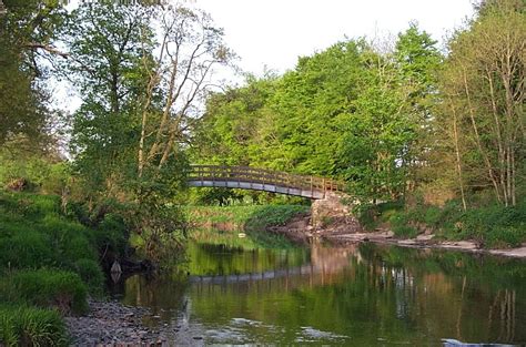 River Endrick – Killearn, Scotland