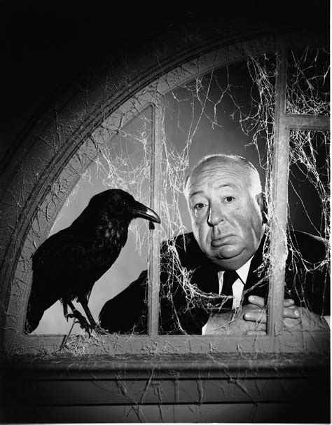 Alfred Hitchcock-Annex | Alfred hitchcock the birds, Alfred hitchcock ...