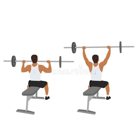 Seated Barbell Shoulder Press Stock Illustrations – 15 Seated Barbell ...