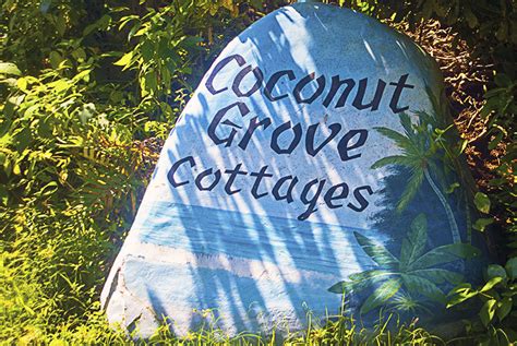 Coconut Grove has a new look online – Coconut Grove