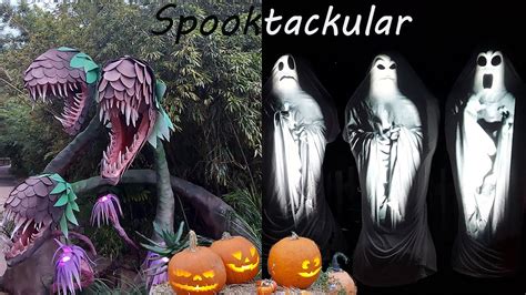 Spooktacular Event at Jacksonville Zoo and Gardens 2021 - YouTube