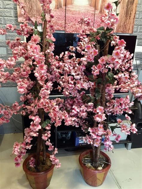 CHERRY BLOSSOM TREE, Furniture & Home Living, Home Decor, Artificial Plants & Flowers on Carousell