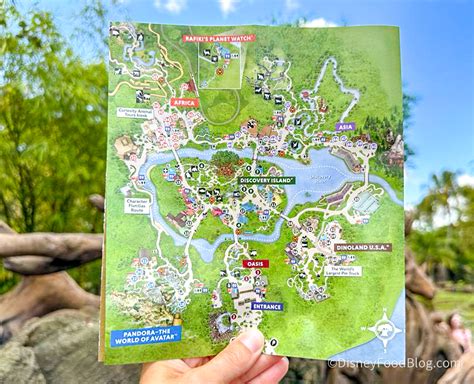 See What’s Changed on the NEW PARK MAP for Disney’s Animal Kingdom ...