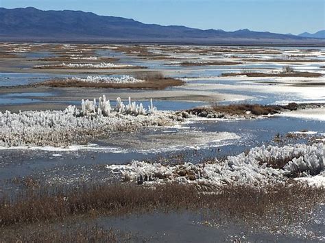 Owens Lake (Inyo County) - 2021 All You Need to Know BEFORE You Go (with Photos) - Tripadvisor