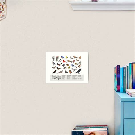 "Georgia - Backyard Birds of Georgia Field Guide Print - Bird Art Print ...