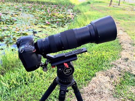 Nikon 200-500mm f/5.6E ED VR Lens Preview and Sample Images by Mobile01 - Camera News at Cameraegg