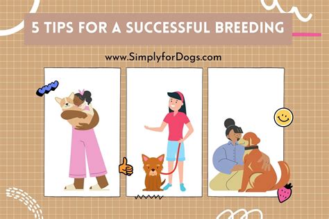 5 Tips for A Successful Breeding - (Important to Breeders) Simply For Dogs