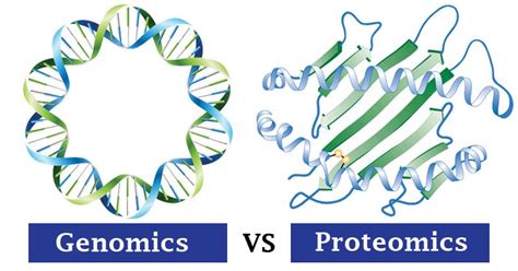 Genomics vs. Proteomics: 10 Major Differences