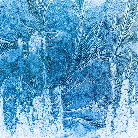 Frost On A Window Free Stock Photo - Public Domain Pictures