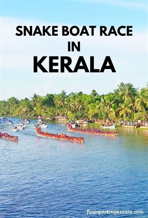 MAP Champions boat league 🛶 Kerala snake boat race series 🛶🌴 ...