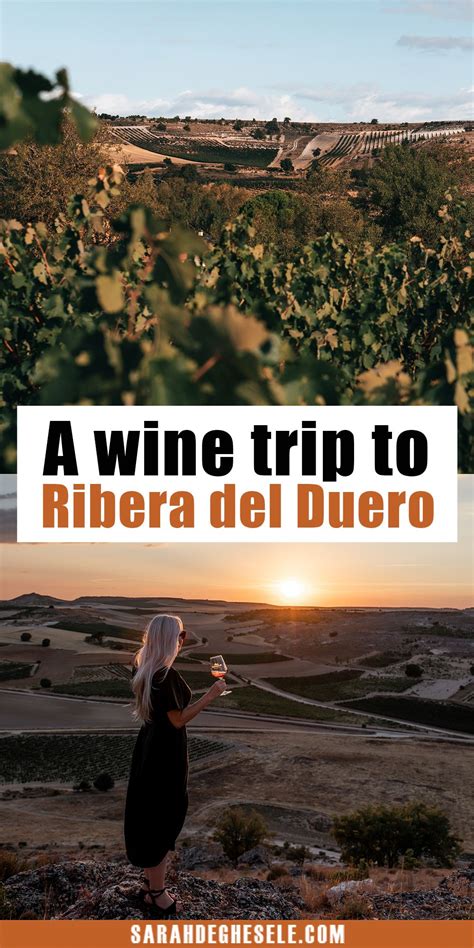 A wine trip to the Ribera del Duero region in Spain | Europe travel ...