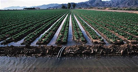 NMSU Media Productions develops outreach materials on water management, irrigation techniques