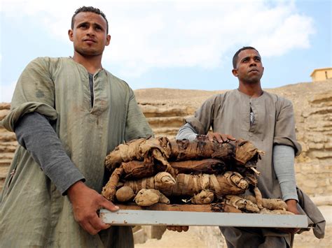 Archaeologists Discover Dozens Of Cat Mummies, 100 Cat Statues In Ancient Tomb : NPR