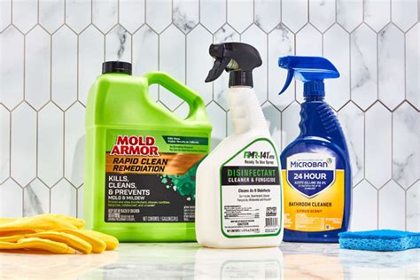 What Are Mold Removal Techniques?