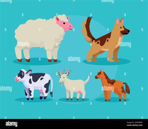 five farm animals icons Stock Vector Image & Art - Alamy